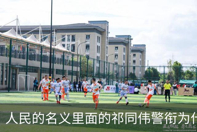人民的名义里面的祁同伟警衔为什么是一级警监？毕竟他是公安厅长