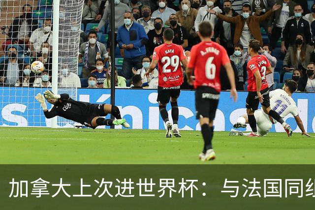 加拿大上次进世界杯：与法国同组 3战皆输1球未进