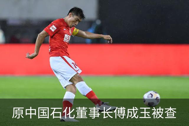 原中国石化董事长傅成玉被查