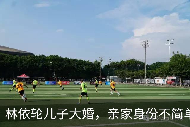 林依轮儿子大婚，亲家身份不简单，是温州华侨，在法国开服装店