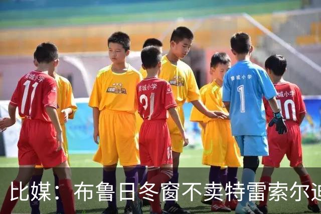 比媒：布鲁日冬窗不卖特雷索尔迪，天价报价也不放人