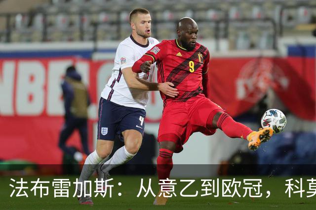 法布雷加斯：从意乙到欧冠，科莫要踢曼联了