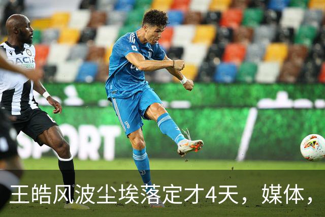 王皓风波尘埃落定才4天，媒体，“点名”，樊振东，再度让人刮目相看